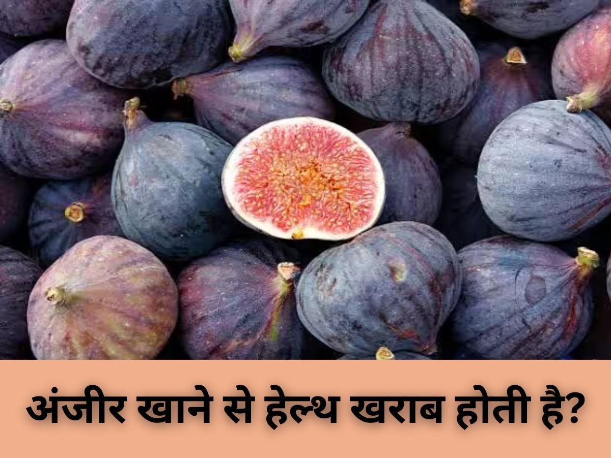 Health Tips: सख्त सा दिखने वाला ये ड्राई फ्रूट खाने से हो सकता है किडनी स्टोन, हो जाएं सावधान!