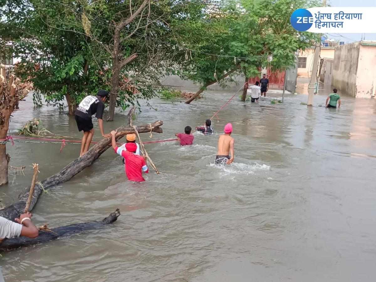 Punjab Flood news ਸ਼੍ਰੀ ਅਨੰਦਪੁਰ ਸਾਹਿਬ 'ਚ ਪਿੰਡਾਂ ਵਿੱਚੋਂ ਘਟਣਾ ਹੋਇਆ ਸ਼ੁਰੂ