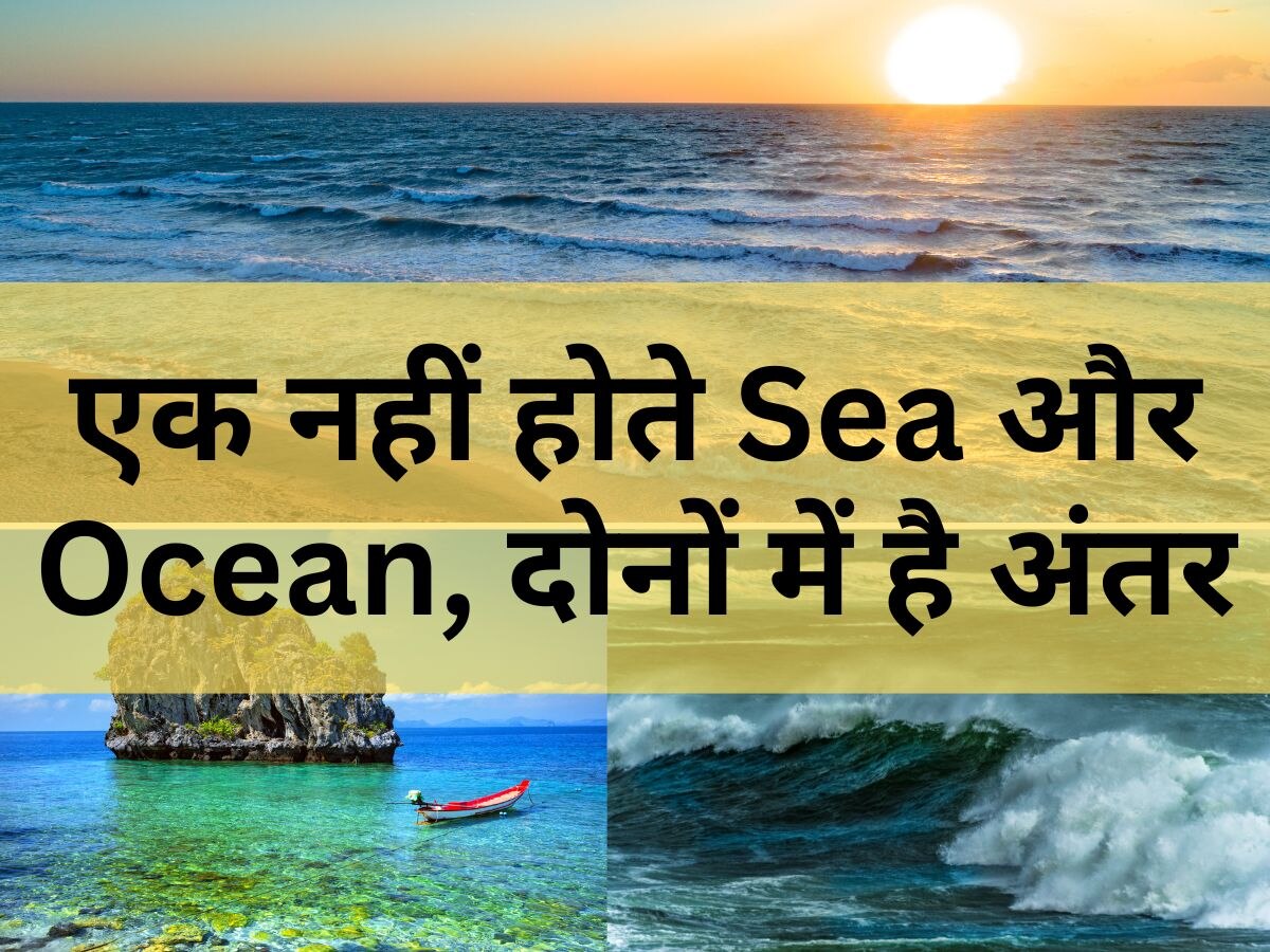 Knowledge: समंदर और महासागर नहीं होते हैं एक, क्या आपको पता है Sea और Ocean में क्या है अंतर?