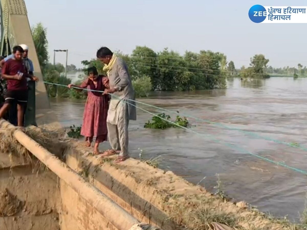 Ferozepur Flood News: ਹੜ੍ਹ ਦਾ ਕਹਿਰ! ਬਜ਼ੁਰਗ ਤੇ ਗਰਭਵਤੀ ਔਰਤਾਂ ਨੇ ਆਪਣੀ ਜਾਨ ਨੂੰ ਖ਼ਤਰੇ 'ਚ ਪਾ ਕੇ ਪੁਲ ਕੀਤਾ ਪਾਰ