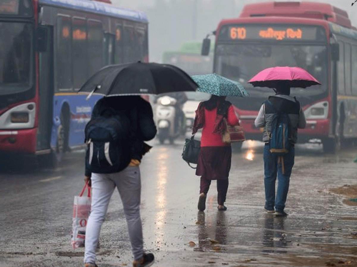  Weather Update: दिल्ली-एनसीआर में सुबह-सुबह हुई झमाझम बारिश, उमस भरी गर्मी से मिली राहत