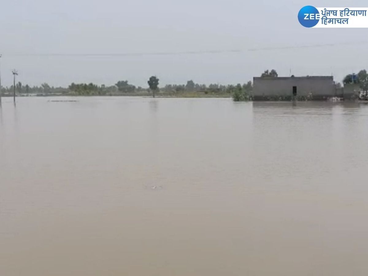 Fazilka Flood News: ਸਤਲੁਜ 'ਚ ਪਾਣੀ ਦਾ ਪੱਧਰ ਇੱਕ ਵਾਰ ਫਿਰ ਵਧਿਆ, ਲੋਕਾਂ ਨੂੰ ਸੁਰੱਖਿਅਤ ਥਾਵਾਂ 'ਤੇ ਜਾਣ ਦੀ ਕੀਤੀ ਅਪੀਲ  