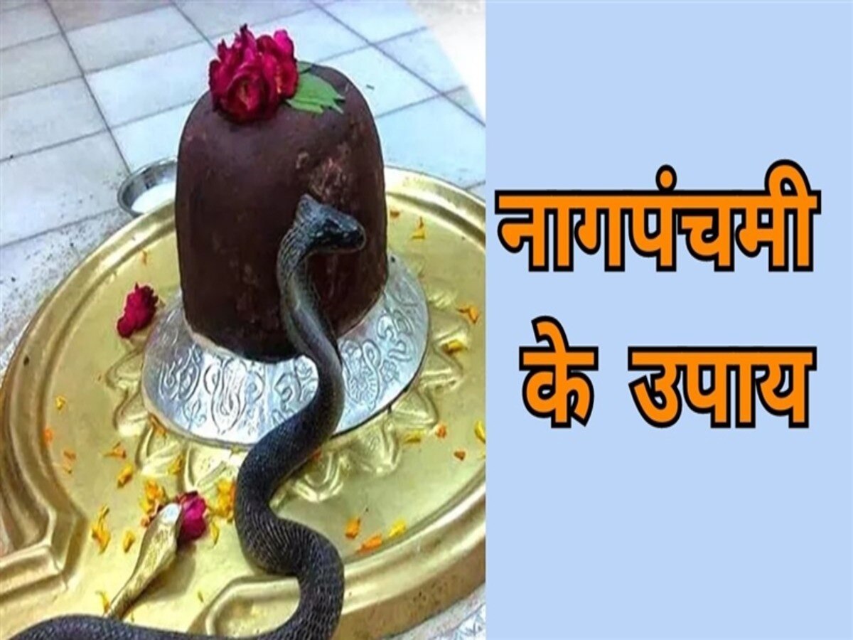 nag panchami ke upay