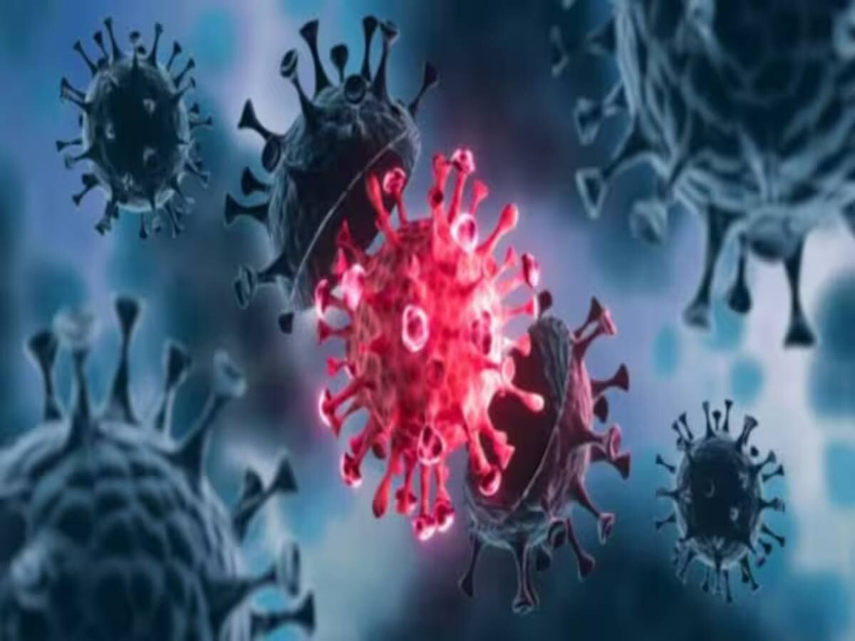 Coronavirus का नया वेरिएंट बना सिरदर्द; WHO ने शुरू की पड़ताल 