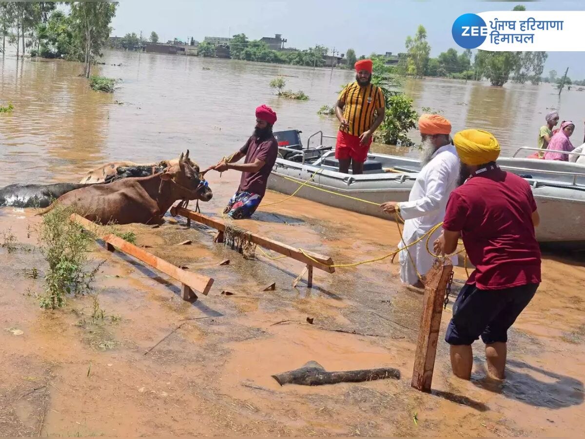 Punjab Flood News: ਪੰਜਾਬ 'ਚ ਇਸ ਸਾਲ ਮਾਨਸੂਨ ਸੀਜ਼ਨ 'ਚ ਹੁਣ ਤੱਕ 59 ਮੌਤਾਂ, 1778 ਪਿੰਡ ਪ੍ਰਭਾਵਿਤ 