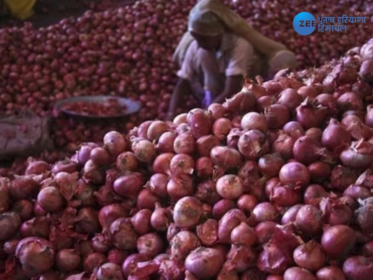 Onion Export Duty : ਪਿਆਜ਼ ਦੇ ਵਧਦੇ ਭਾਅ ਨੂੰ ਦੇਖਦੇ ਹੋਏ ਸਰਕਾਰ ਦਾ ਵੱਡਾ ਕਦਮ; ਬਰਾਮਦ 'ਤੇ ਲਗਾਈ 40 ਫ਼ੀਸਦੀ ਡਿਊਟੀ