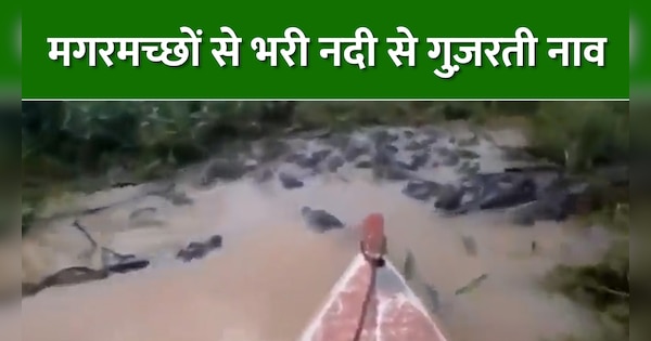 Boat Passing Through A River Full Of Crocodiles See Scary Video Video मगरमच्छों से भरी नदी