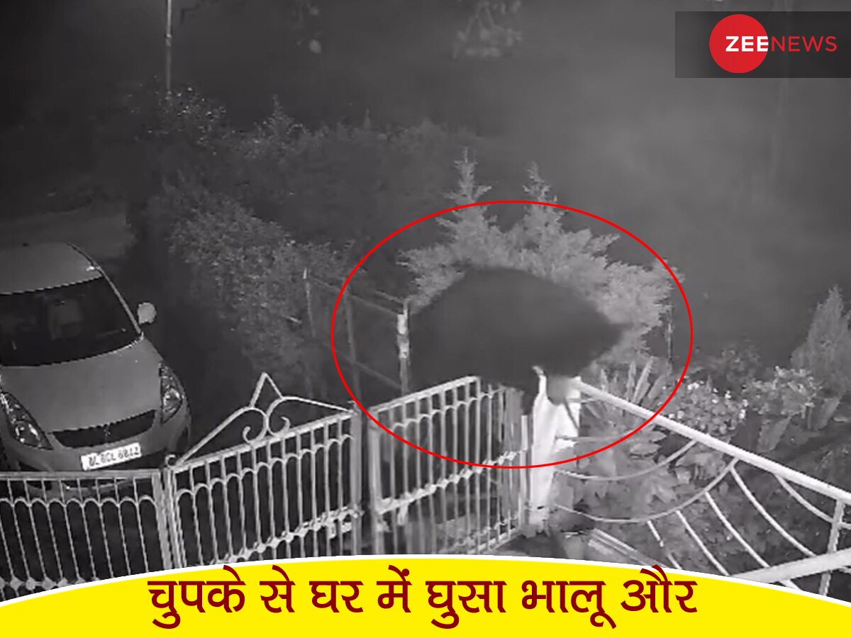 आधी रात अचानक घर में घुसा भालू और उसका बच्चा, CCTV में दिखा हैरान करने वाला मंजर