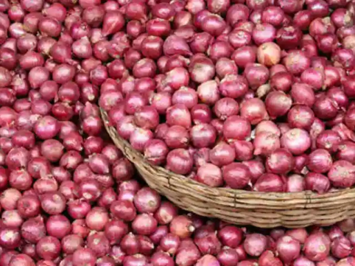 Onion Price Rise: भारत दूसरा सबसे बड़ा उत्पादक फिर क्यों बढ़ रहे प्याज के दाम? 