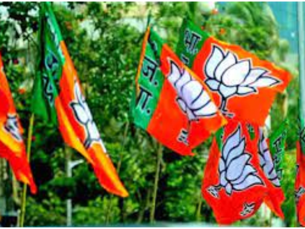 Delhi की 7 लोकसभा सीटों के लिए BJP प्रभारियों की हुई घोषणा, जानें किसको मिली कौन सी जिम्मेदारी