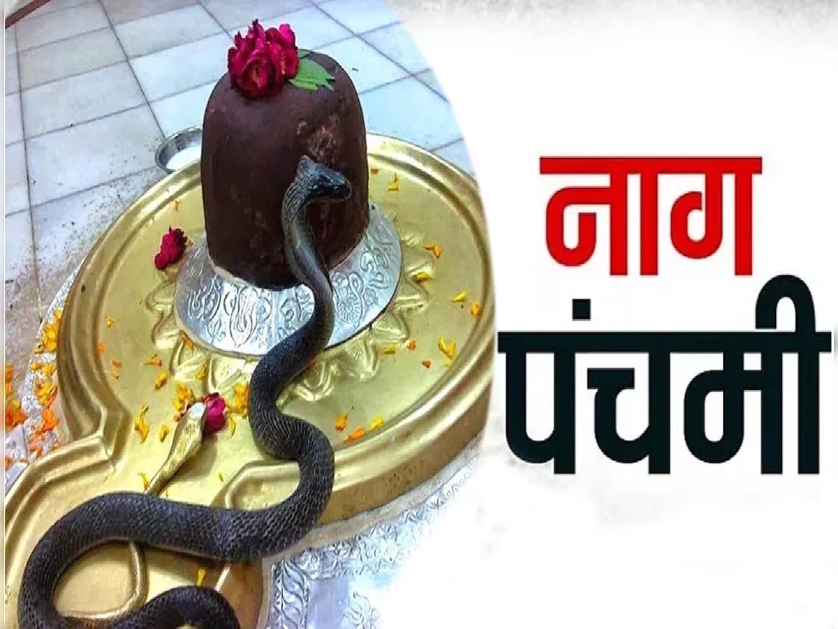 Nag Panchami 2023 Wishes: नाग पंचमी के पावन पर्व पर प्रियजनों को भेजें ये शुभकामनाएं संदेश, भक्तिमय हो जाएगा माहौल