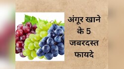 Grapes: इन 5 बीमारियों से अकेले राहत दिलाता है अंगूर, बाजार से तुरंत खरीद लाएं ये फल