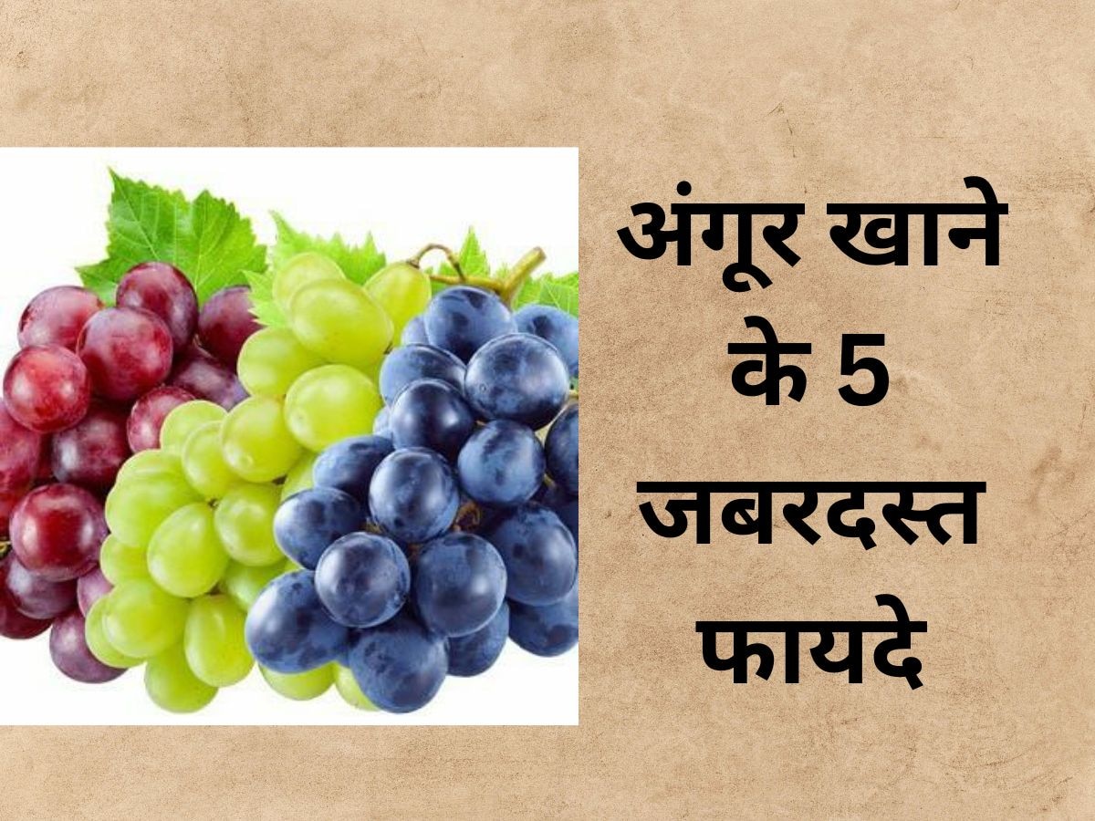 Grapes: इन 5 बीमारियों से अकेले राहत दिलाता है अंगूर, बाजार से तुरंत खरीद लाएं ये फल