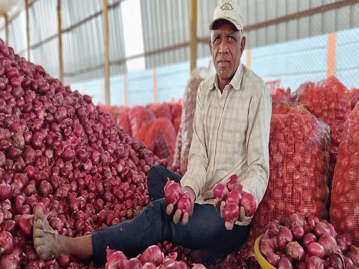 Onion Price: दिल्ली में बेहद सस्ता हुआ प्याज़; सरकार के ऐलान के बाद नीचे गिरी कीमतें