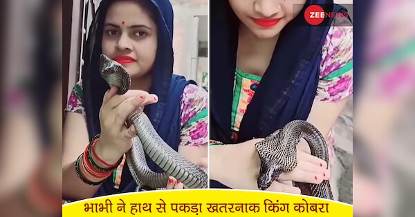 Bhabhi Caught King Cobra By Bare Hand Naag Panchmi Cameraman Video भाभी ने हाथ से King Cobra 8005