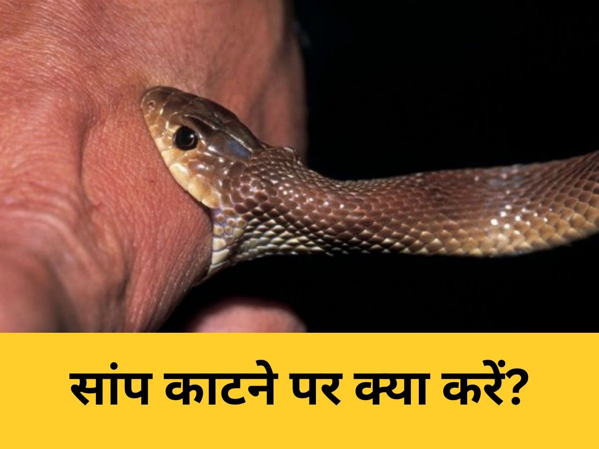 How To Save Life After Snake Bite Venom First Aid treatment Saanp Katne ...