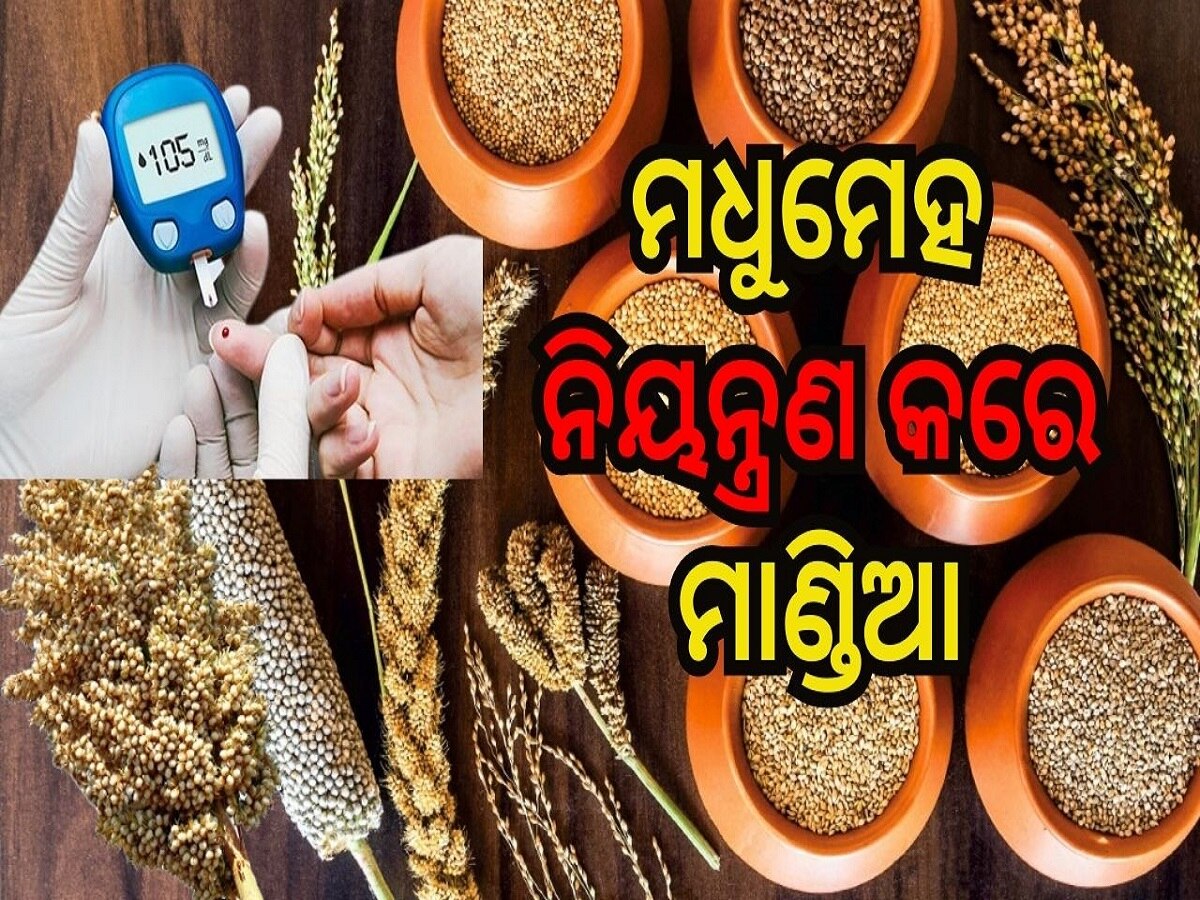 Super Food Millet: ଡାଇବେଟିସ୍ ଓ କୋଲେଷ୍ଟ୍ରଲ ନିୟନ୍ତ୍ରଣରେ ସାହାଯ୍ୟ କରେ ମାଣ୍ଡିଆ...