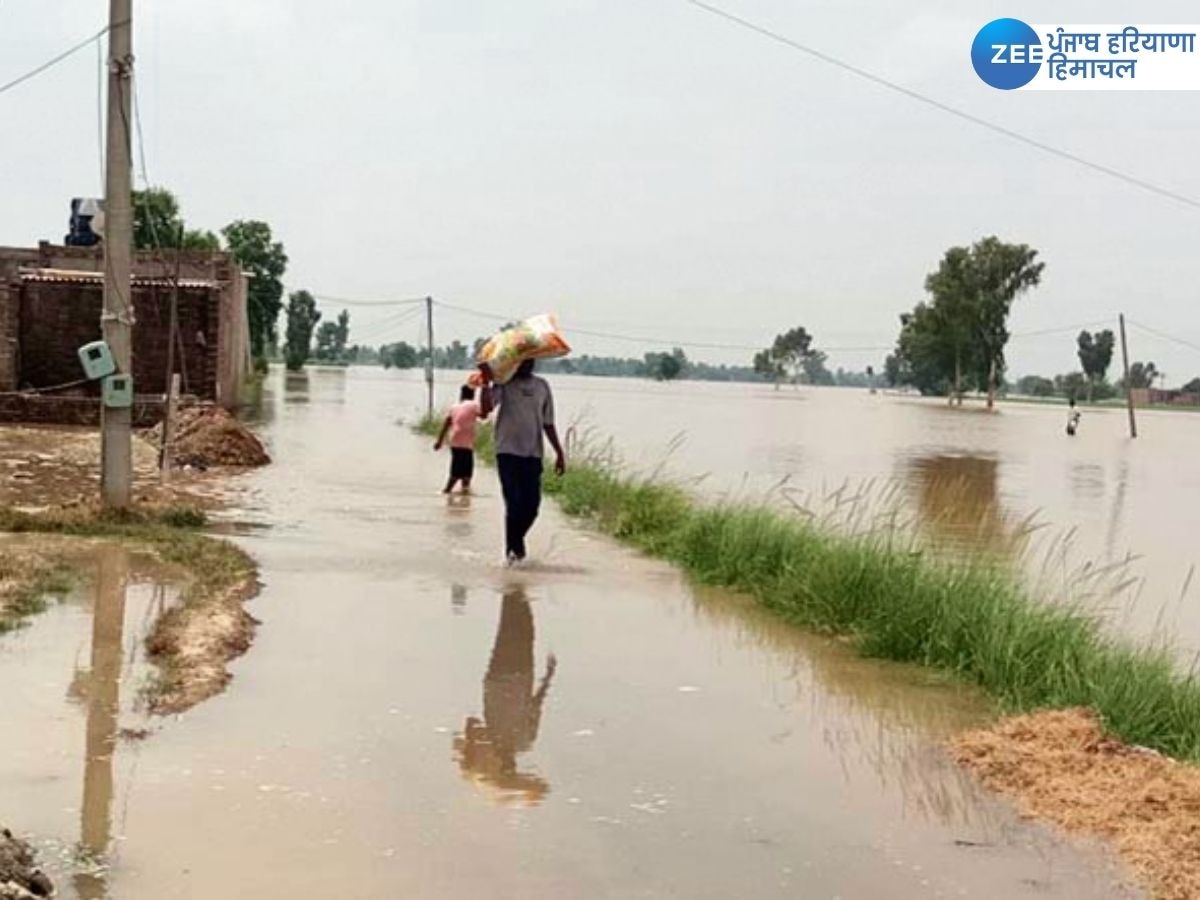 Ferozepur Flood News: ਫਿਰੋਜ਼ਪੁਰ ਦੇ ਹੜ੍ਹ ਪ੍ਰਭਾਵਿਤ ਇਲਾਕਿਆਂ 'ਚੋਂ ਪਾਣੀ ਘਟਿਆ, ਹੁਣ ਤੱਕ 3,000 ਤੋਂ ਵੱਧ ਲੋਕਾਂ ਨੂੰ ਬਚਾਇਆ