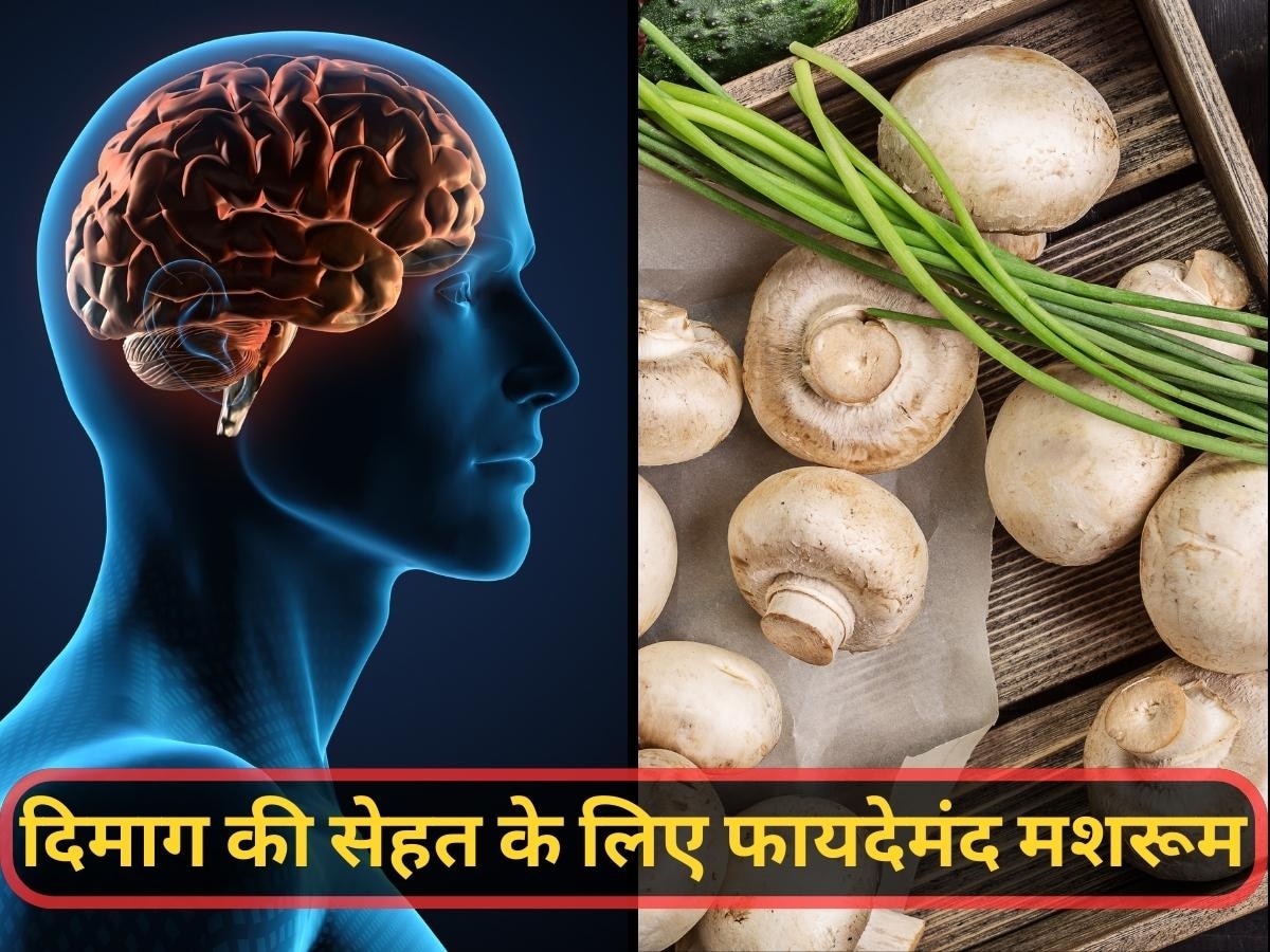 Health Benefits of Mushrooms: दिमाग की क्षमता बढ़ाने में मदद करेगा मशरूम, अल्जाइमर के इलाज में है काफी कारगर