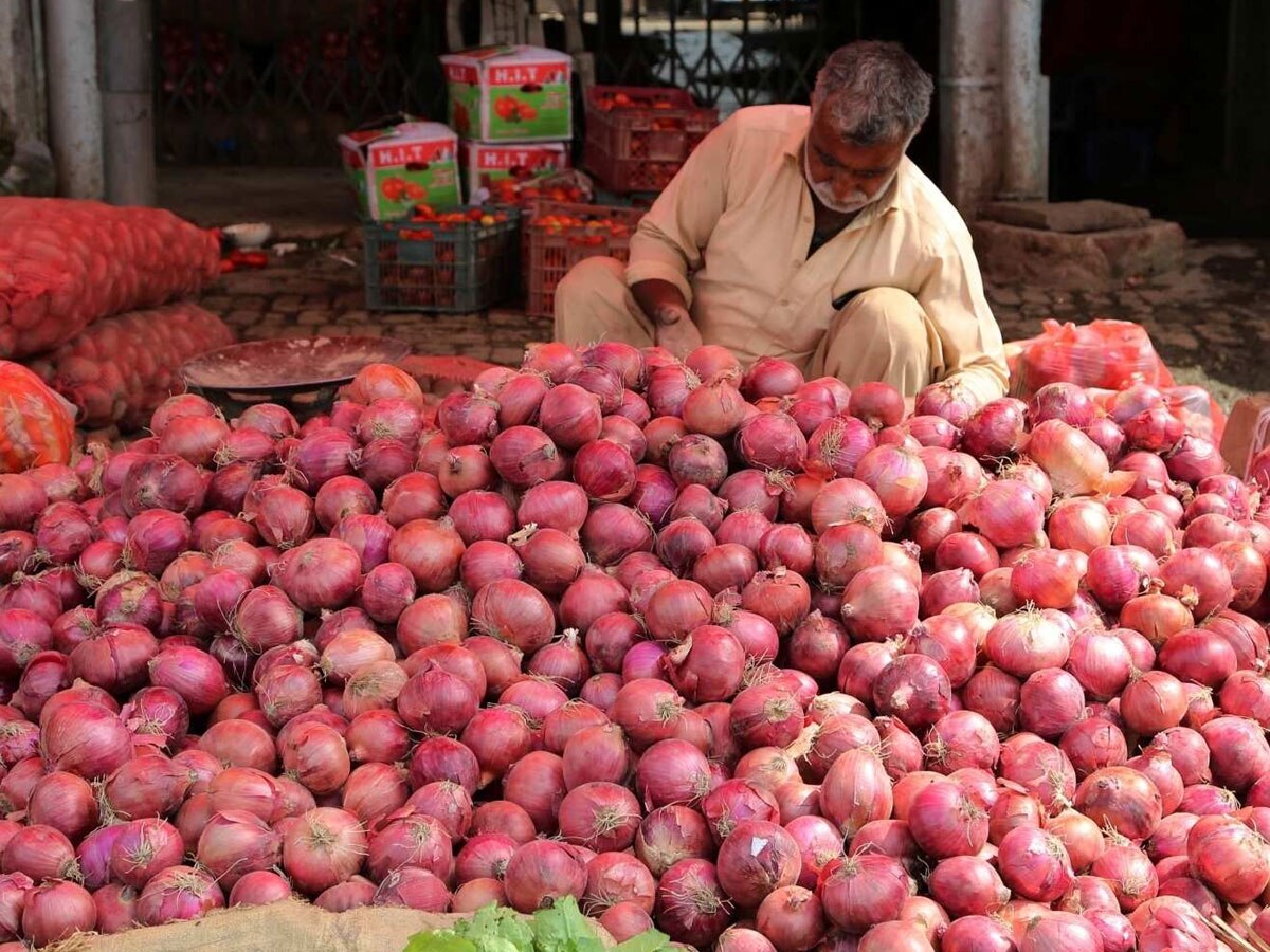 Onion Price: सस्‍ते प्‍याज के ल‍िए केंद्र का बड़ा कदम, क‍िसानों से इस रेट पर प्‍याज खरीदेगी सरकार