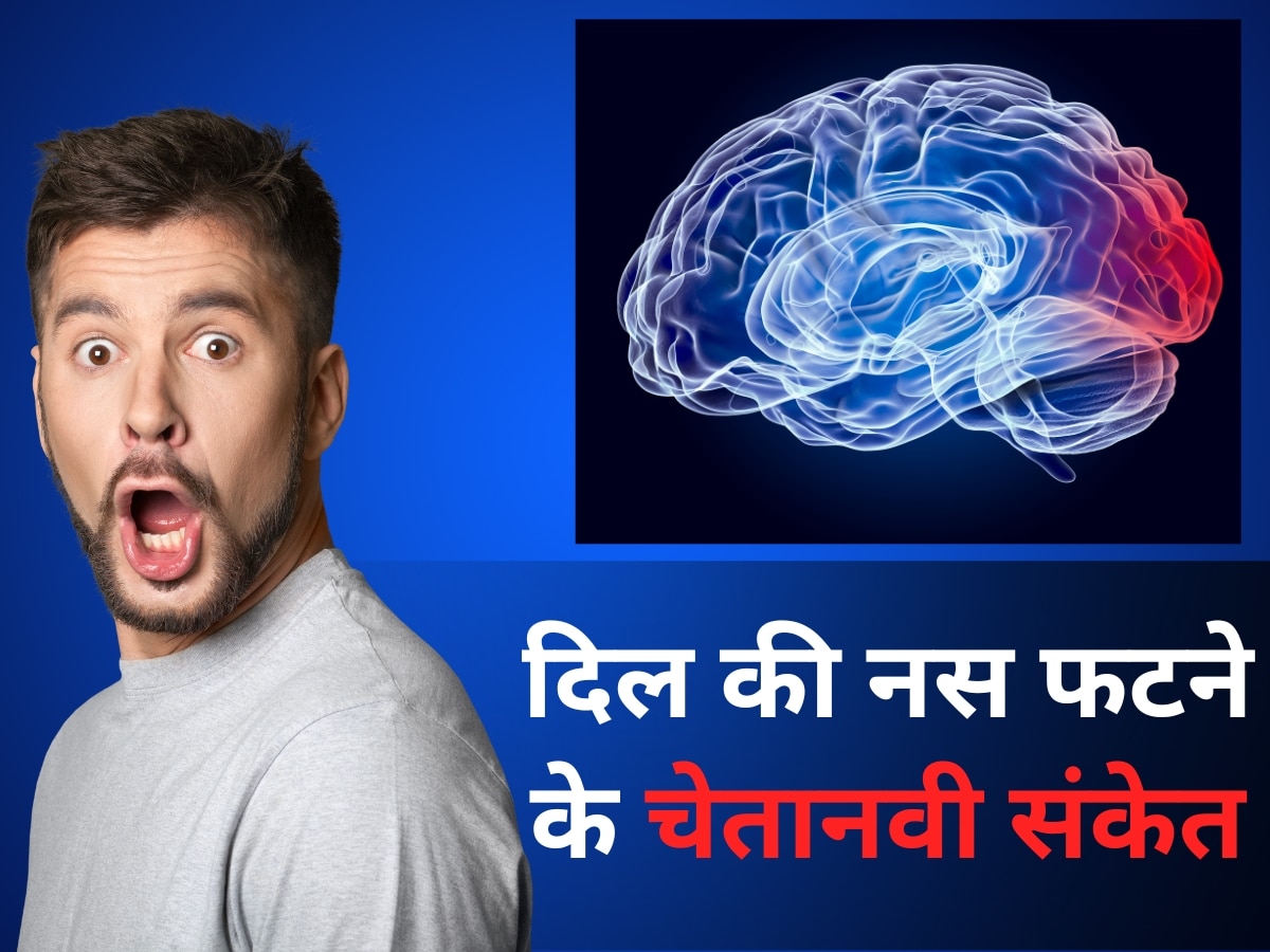 Brain Disease: दिमाग की नसों में क्यों आ जाती है सूजन? नस फटने से पहले इस तरह मिलते हैं चेतावनी संकेत