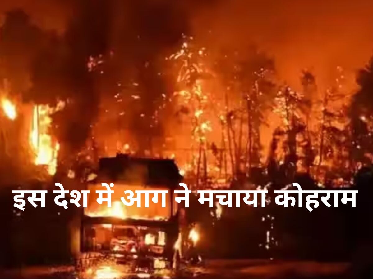 इस देश में जंगल की आग ने मचाया कोहराम, आखिर क्यों जल रहा है धरती का भू-भाग