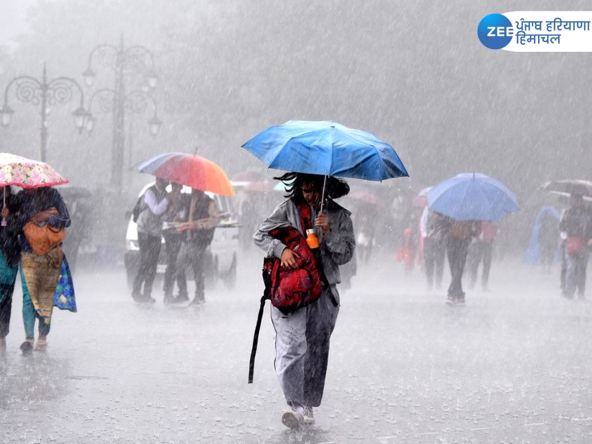 Himachal Pradesh Weather LIVE Updates: हिमाचल में बारिश का तांडव, मंडी में 1 और शिमला 2 लोगों की मौत  