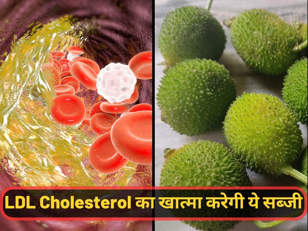 Round green vegetable spiny gourd will reduce high level of LDL