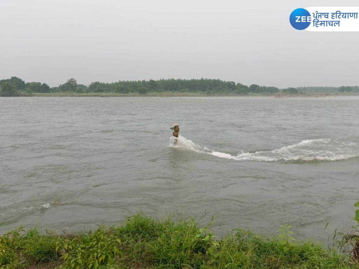 Punjab Flood News: 'ਸਤਲੁਜ ਦਰਿਆ ਦੀ ਤਬਾਹੀ ਦਾ ਕਾਰਨ ਗੈਰ-ਕਾਨੂੰਨੀ ਮਾਈਨਿੰਗ' 