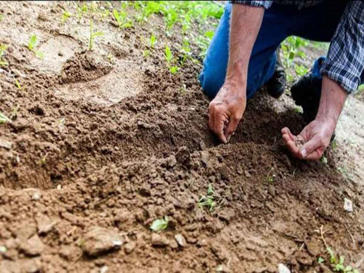 प्रतीकात्मक फोटो