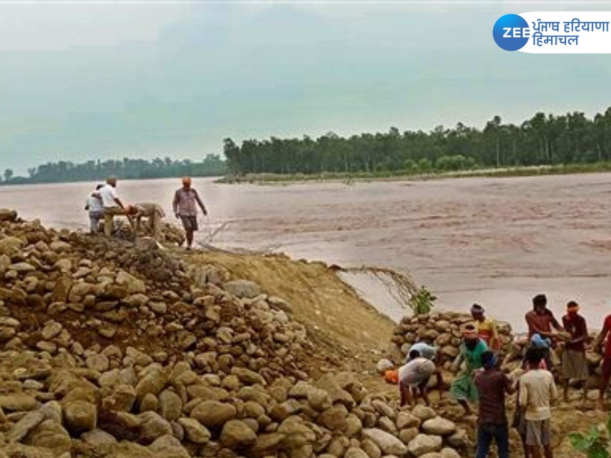 Punjab Flood News: ਨਵਾਂਸ਼ਹਿਰ ਵਿੱਚ ਪਾਣੀ ਦਾ ਪੱਧਰ ਵੱਧਣ ਦੇ ਬਾਵਜੂਦ ਸਥਿਤੀ 'ਪੂਰੀ ਤਰ੍ਹਾਂ ਕਾਬੂ ਹੇਠ'