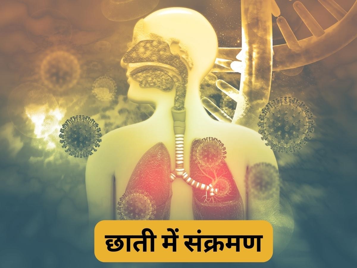 Chest Infection: छाती का संक्रमण खत्म करेंगी ये 5 औषधियां, नहीं पड़ेगी दवाओं की जरूरत