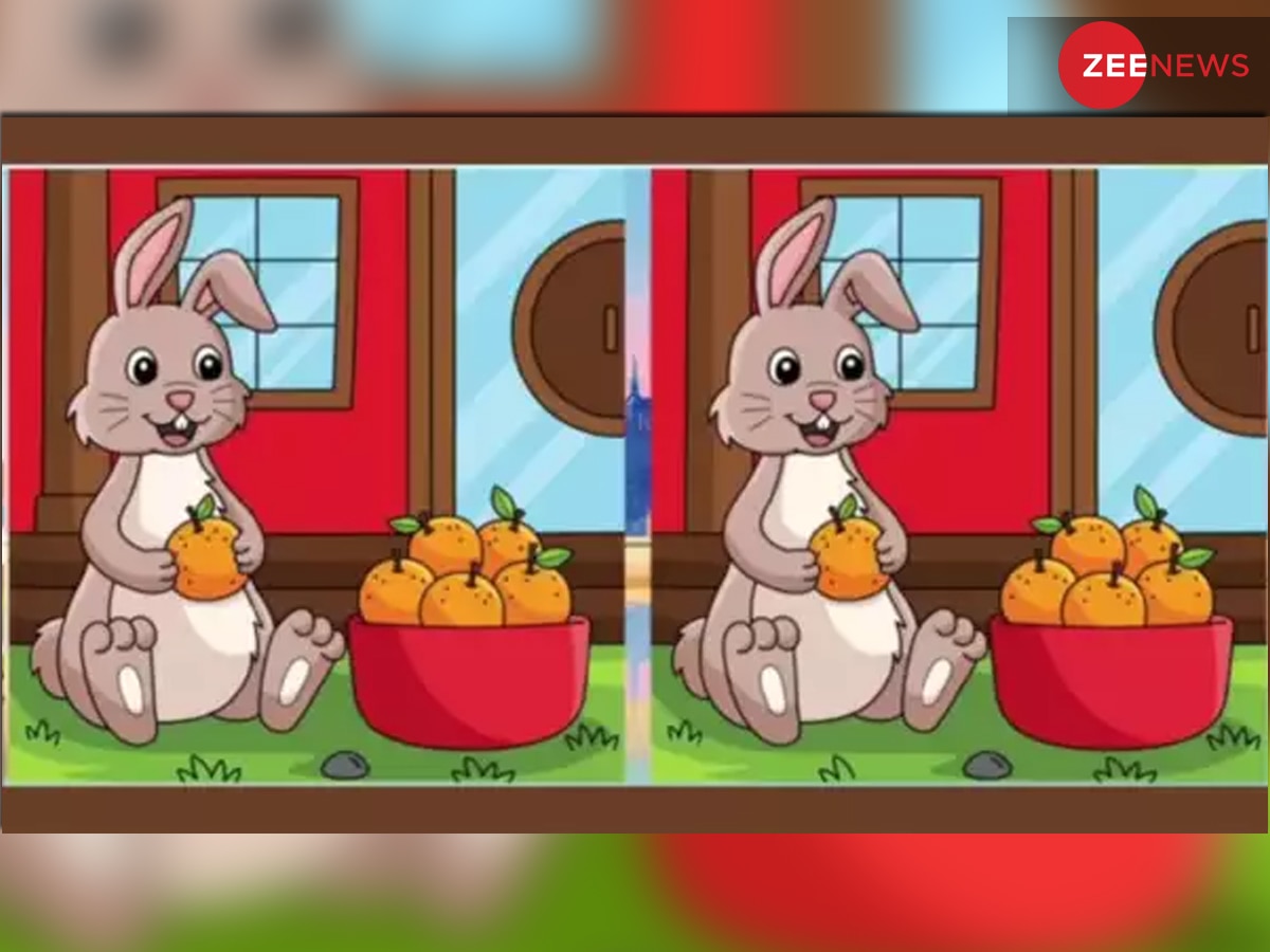 Optical Illusion: बैठे हुए खरगोश में बताएं क्या है अंतर, आपके पास सिर्फ 20 सेकेंड का वक्त