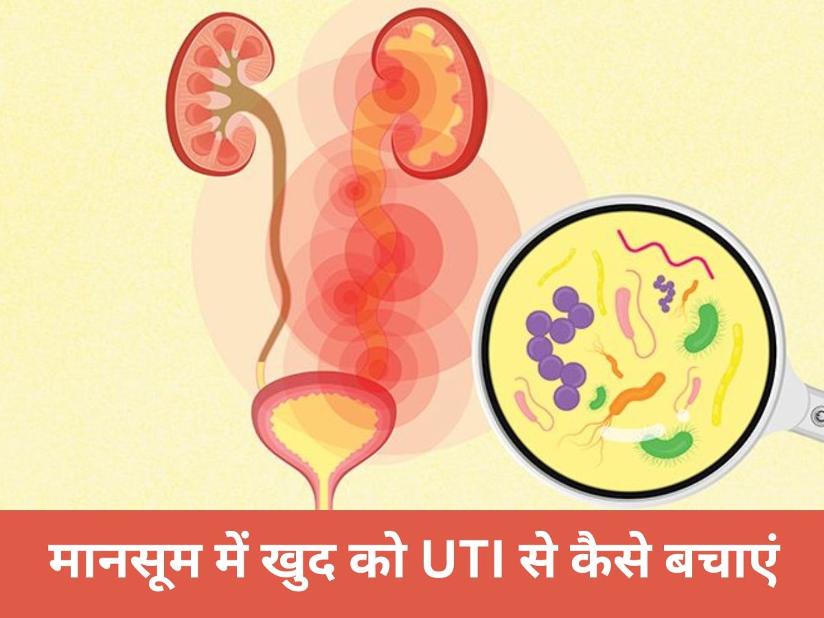 Health Tips: मानसून में आखिर क्यों बढ़ जाता है यूटीआई का खतरा? इस तरह मेंटेन करें हाइजीन