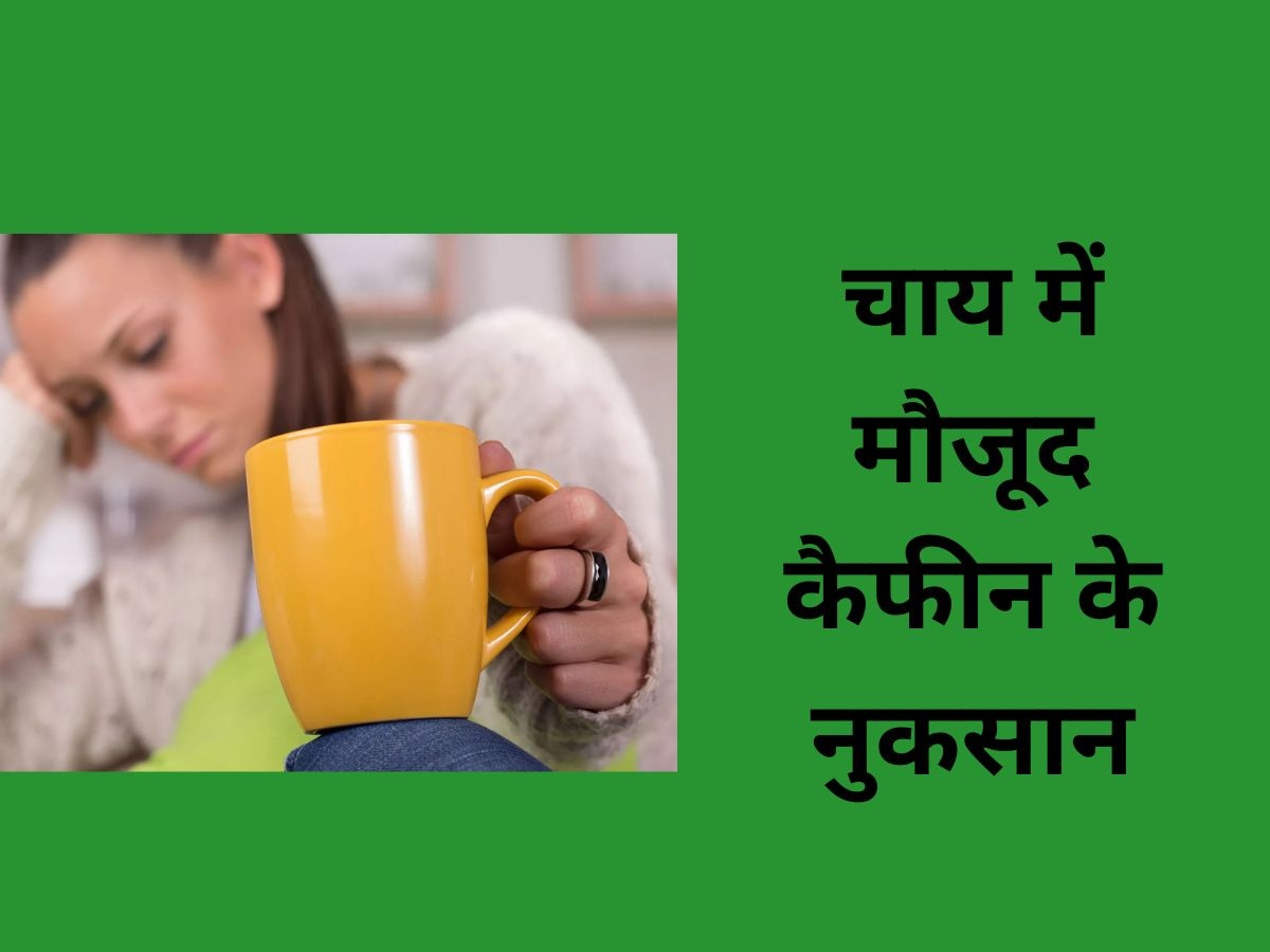 Tea: चाय में मौजूद Caffeine आपके लिए क्यों है खतरनाक? इसकी चुस्कियां कर देंगी बीमार