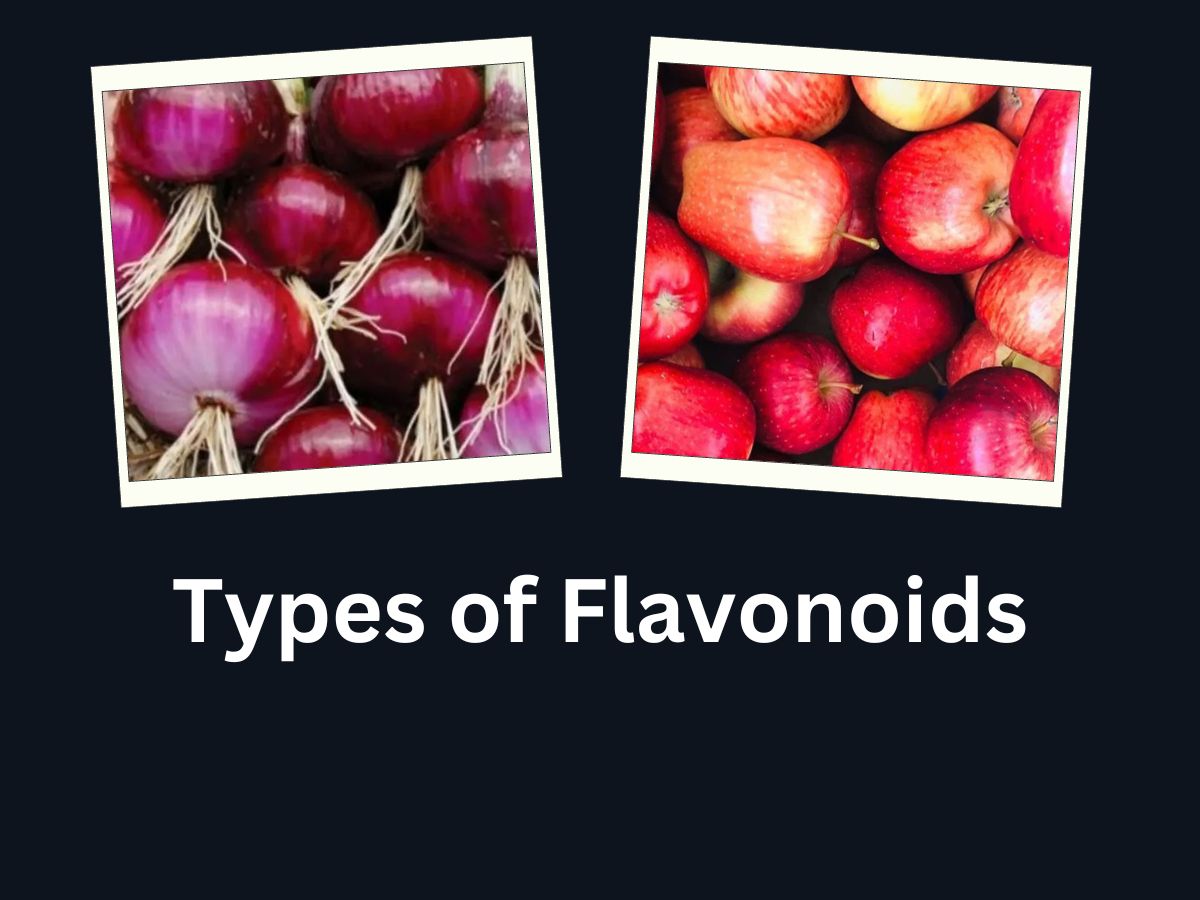 What Are the Main Types and Food Sources Of Flavonoids Compound Apple
