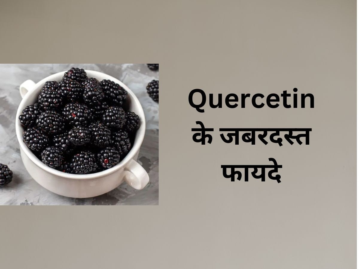 Blackberry में पाया जाने वाला Quercetin कैसे कम करता है Cancer का खतरा? जानिए और भी कई फायदे