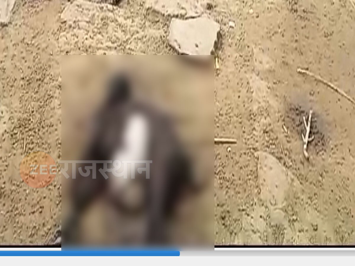 धौलपुर न्यूज: पैंथर ने किया घातक हमला, 17 भेड़ और बकरी घायल
