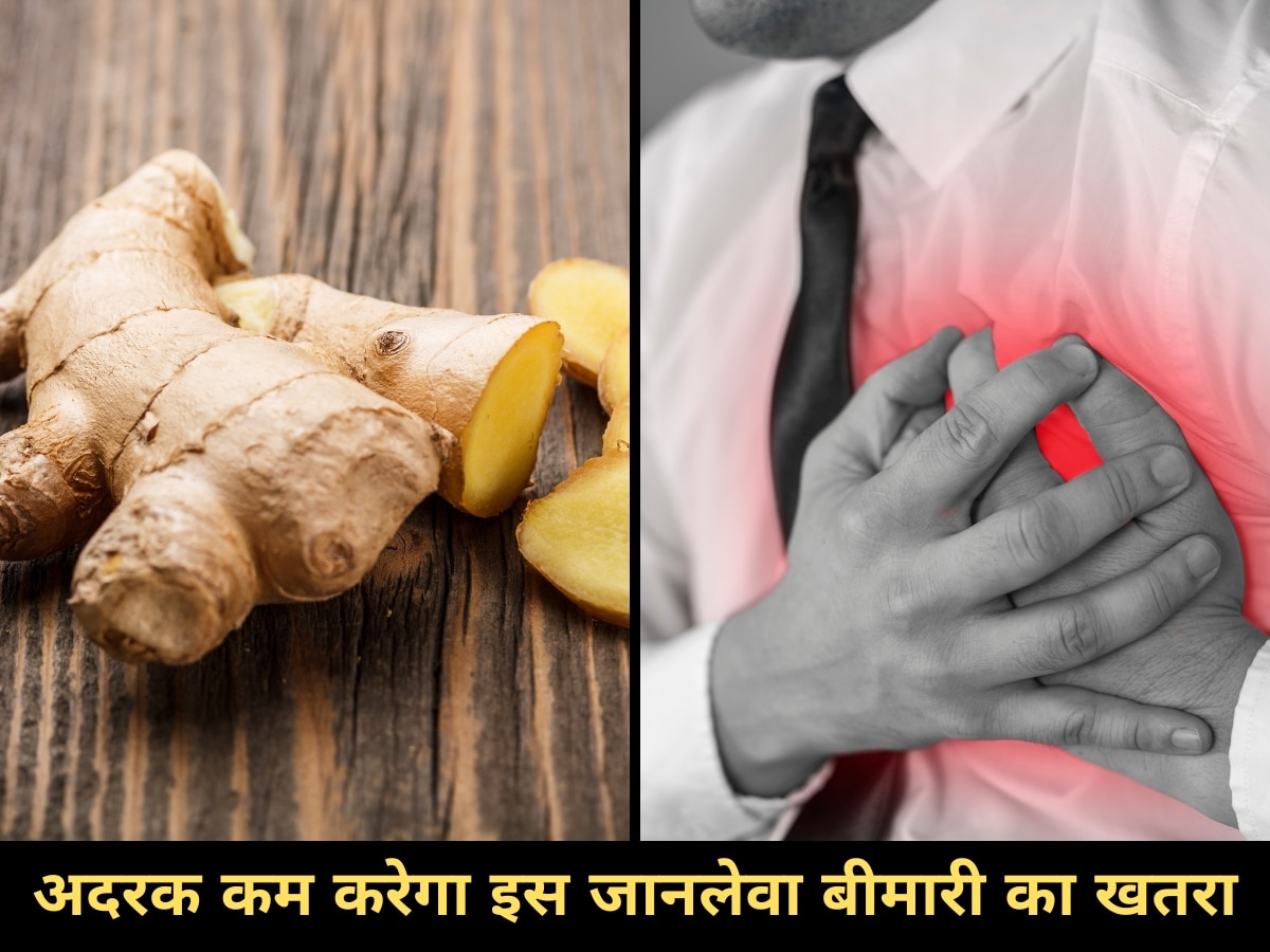 Ginger Benefits: अदरक में मौजूद Gingerol दूर करेगा खर्राटे की दिक्कत, 60% तक घटेगा इस जानलेवा बीमारी का खतरा