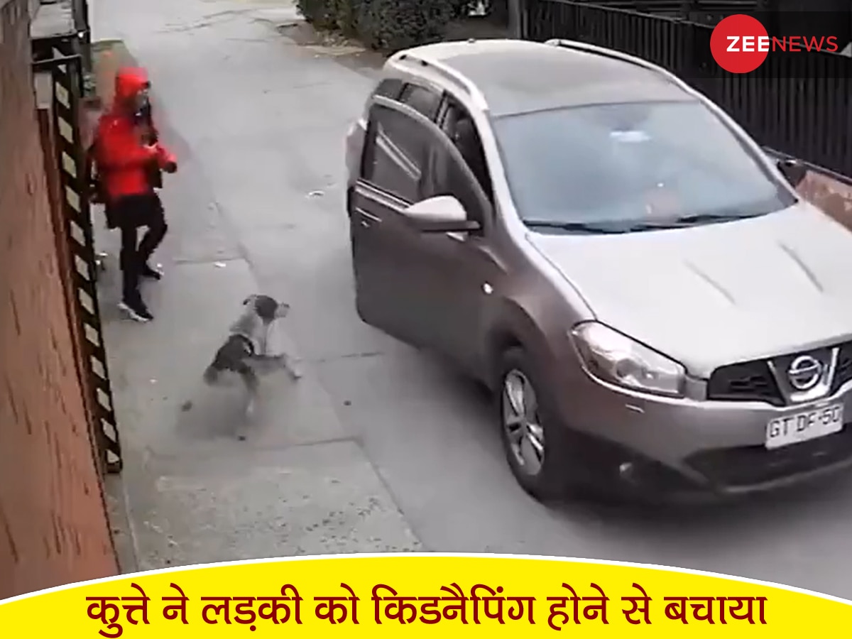 आवारा कुत्ते ने स्कूली लड़की को किडनैप होने से बचाया, Video खोल देगी आपकी आंखें