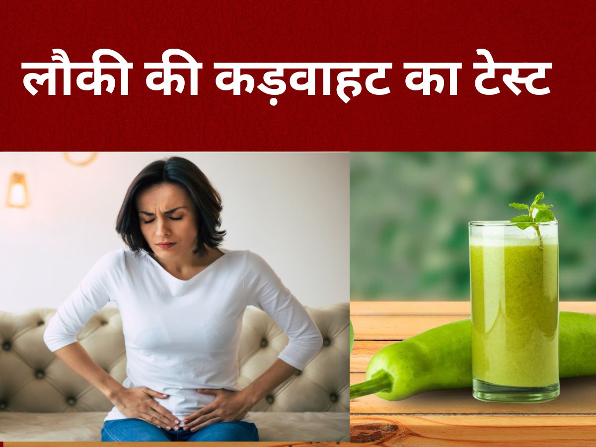 How To Test Bitterness in Bottle Gourd Before Cooking eating Cucurbitacins kadvi lauki khane ke