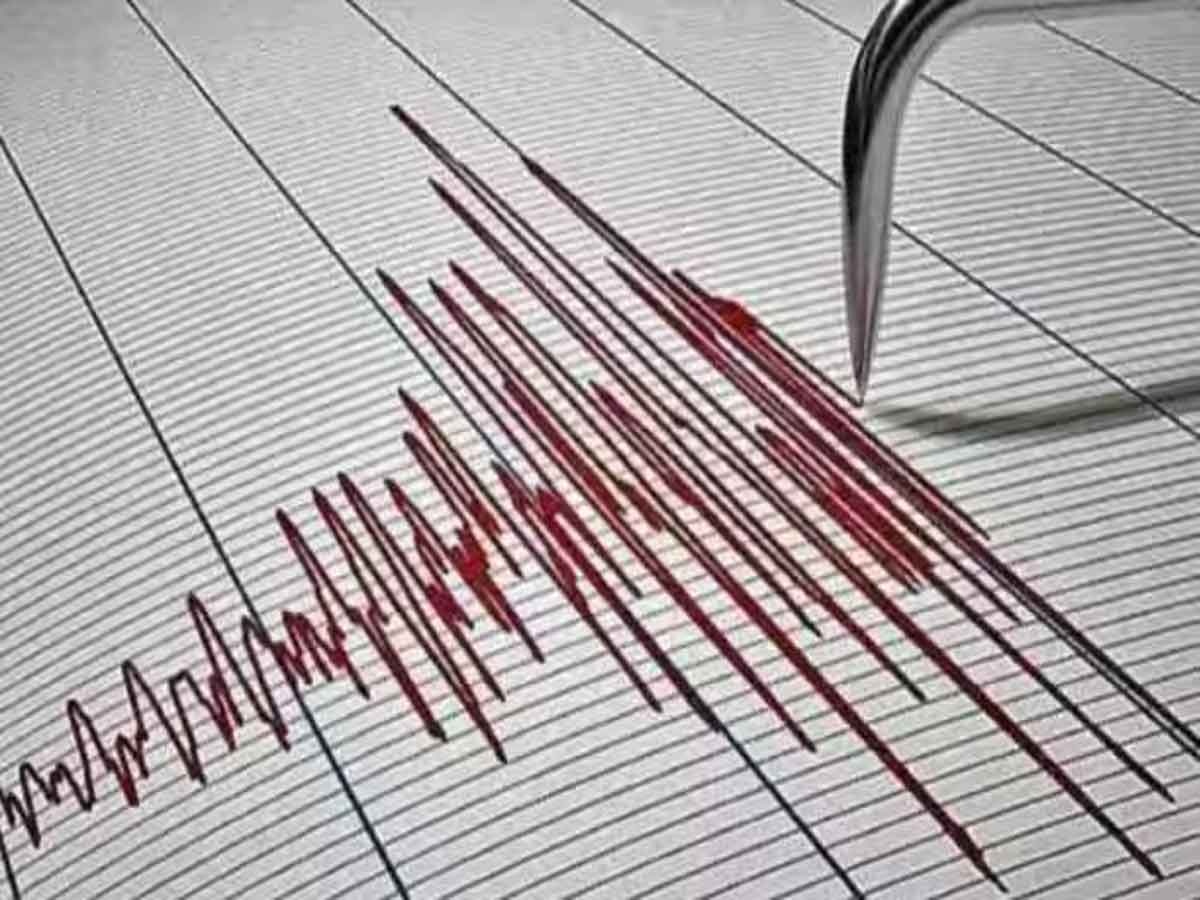 Earthquake:  इंडोनेशिया के बाली में भूकंप के तेज झटके, इमारतों से बाहर भागे लोग, रिएक्टर स्केल पर 7.0 रही तीव्रता 