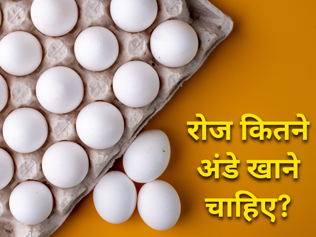 Egg Side Effects: रोज कितने अंडे खाना चाहिए? ज्यादा खाने से क्या हो सकते हैं नुकसान