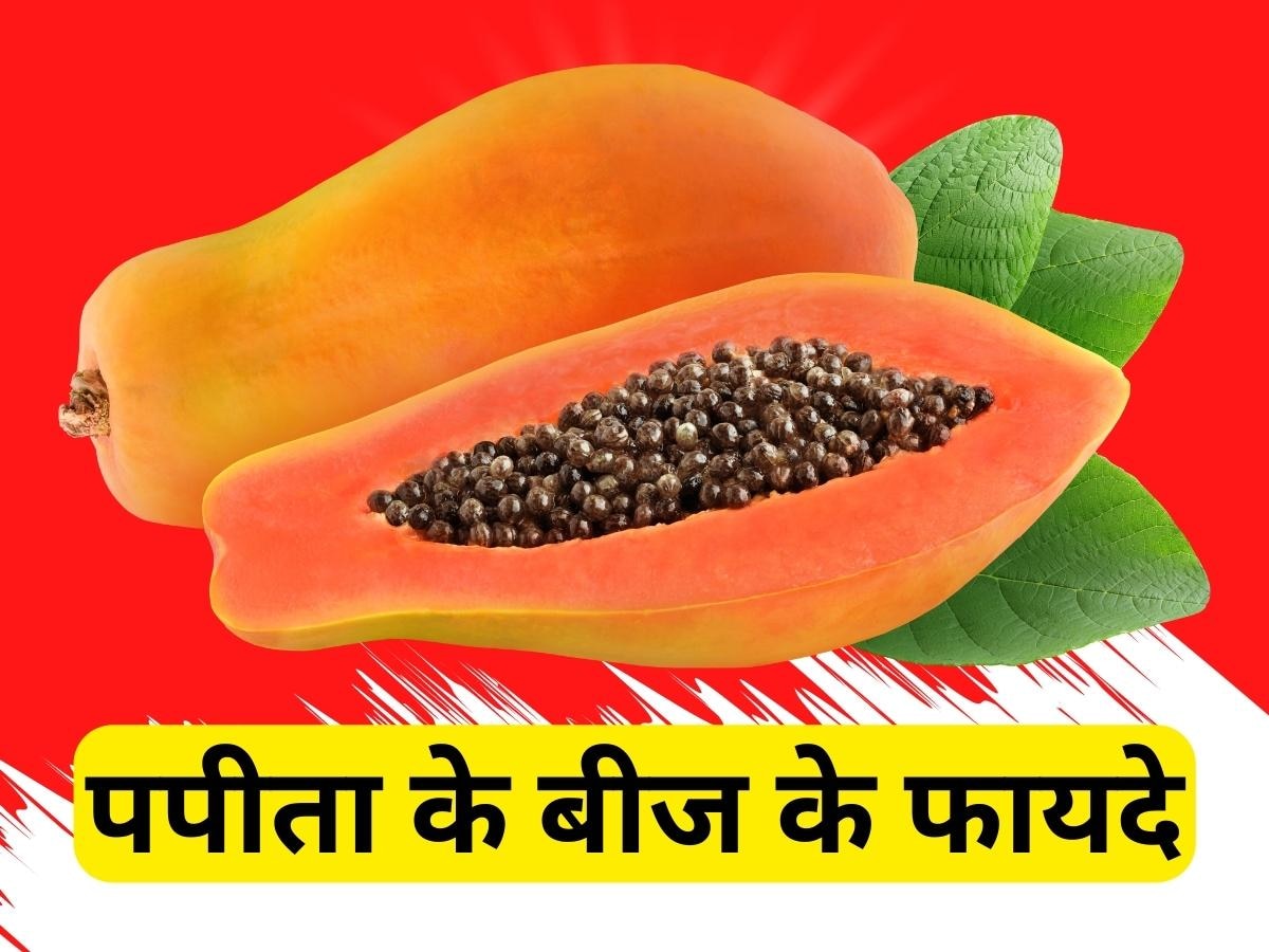Papaya Seeds Benefits: पपीते के बीज फेंकने से पहले जान लें 6 हेल्थ बेनिफिट्स, हैरान हो जाएंगे आप!
