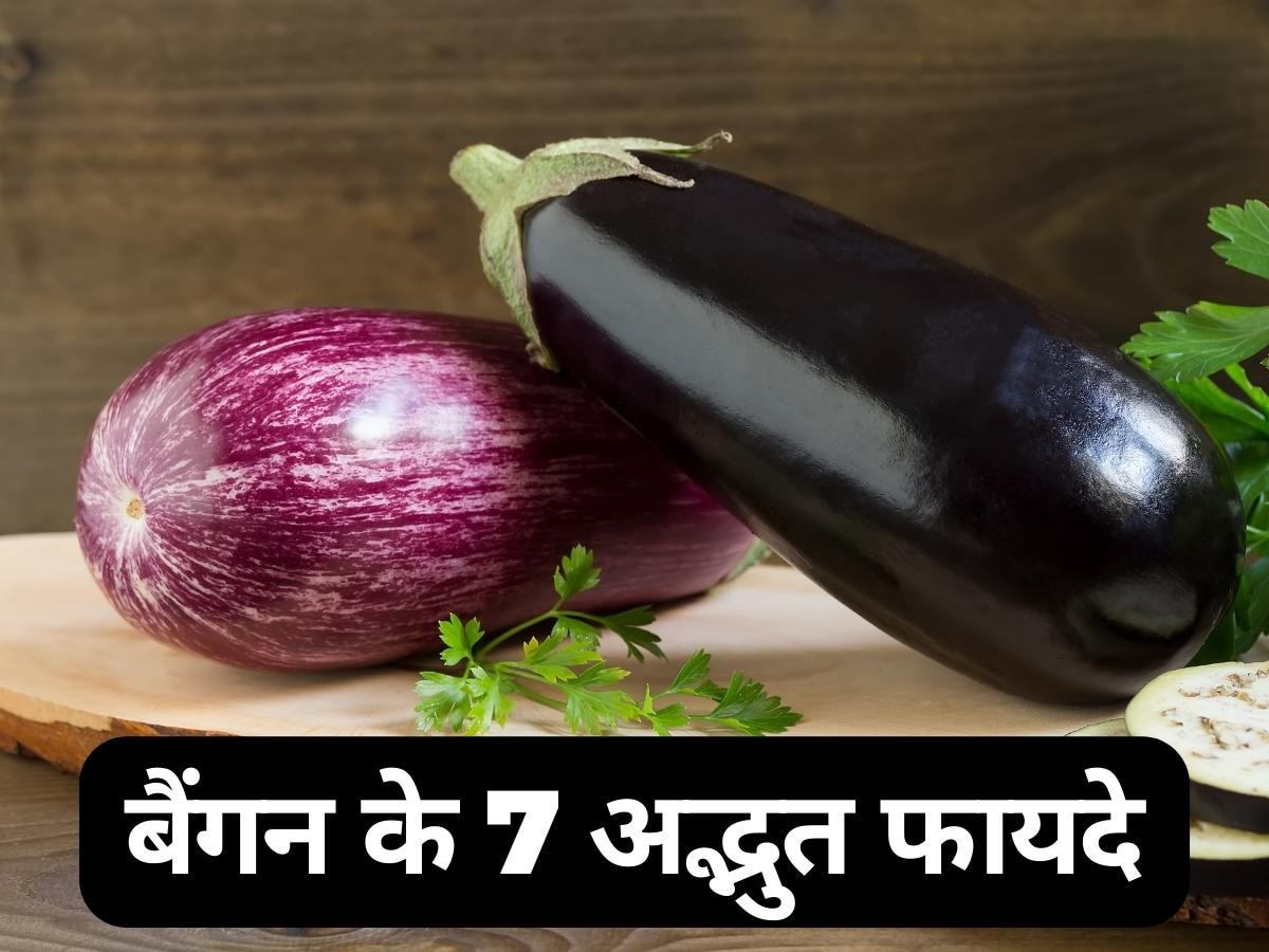 Eggplant Benefits: मजबूत हड्डियों से लेकर कैंसर की रोकथाम तक, जानिए बैंगन के 7 अद्भुत फायदे