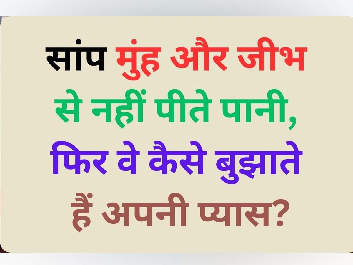 GK Quiz: सांप मुंह और जीभ से नहीं पीते पानी, फिर कैसे बुझाते हैं अपनी प्यास? जवाब दे पाए तो कहलाएंगे जीनियस