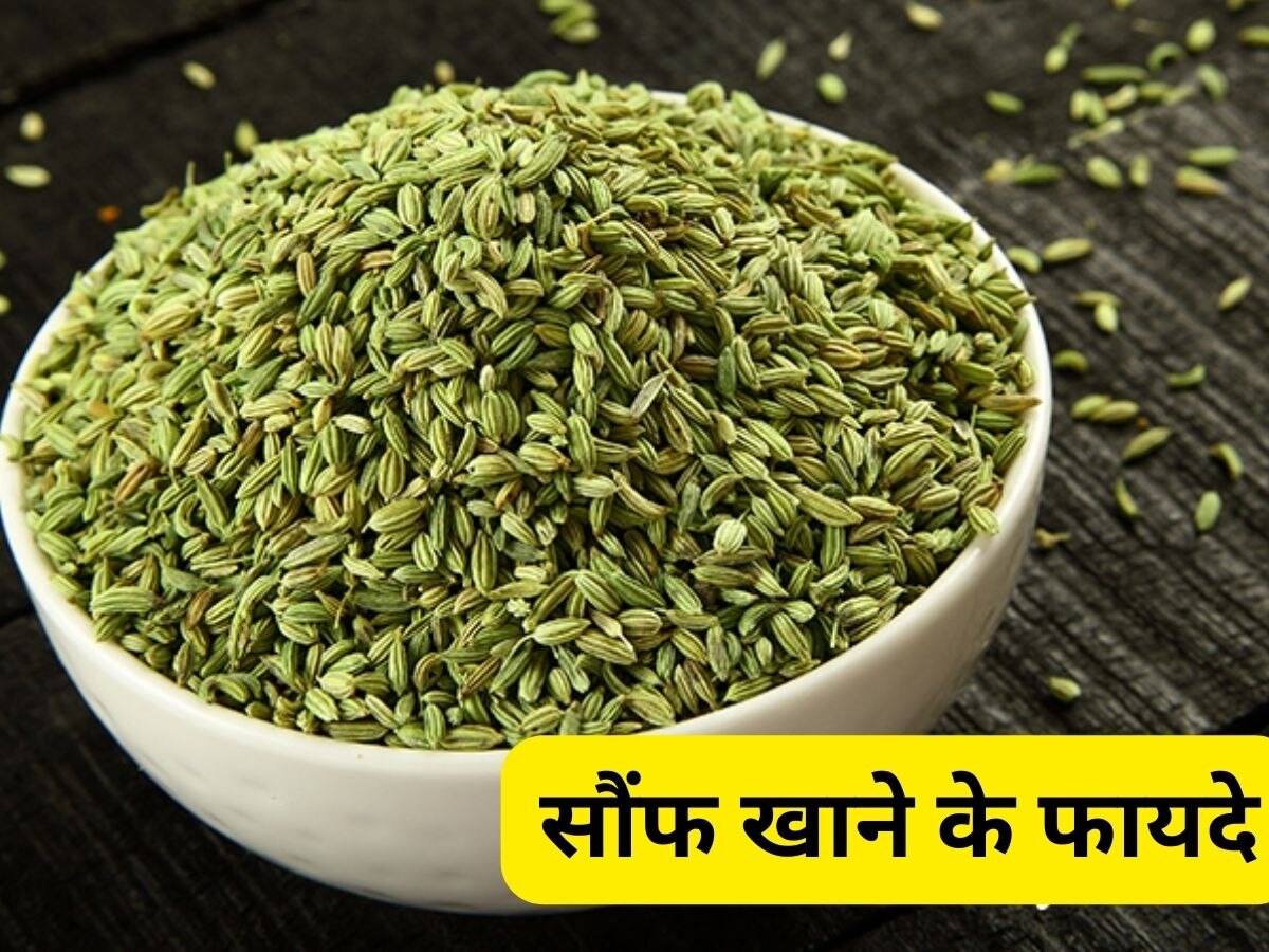 Fennel Seeds: सौंफ में मौजूद Polyphenol कर देगा इन 5 परेशानियों का खात्मा, डेली डाइट में करें शामिल