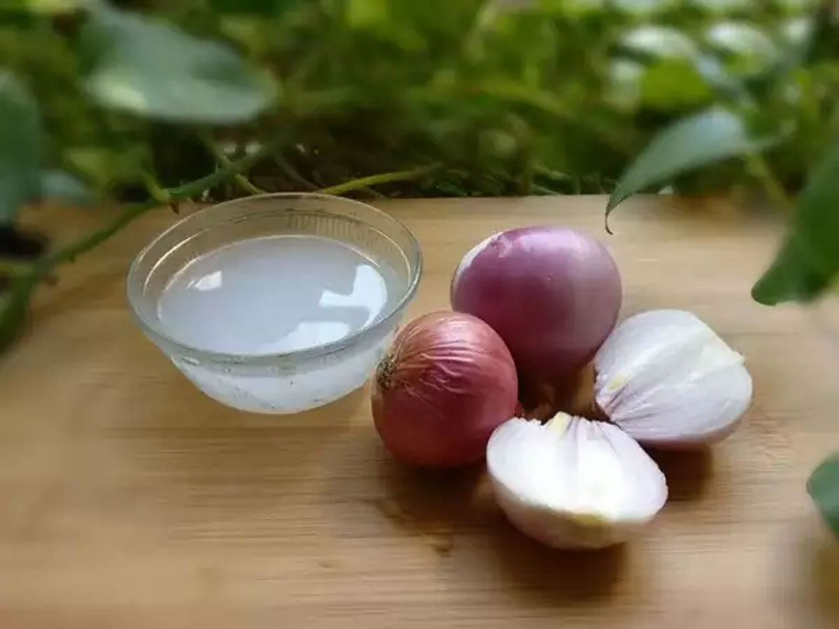 प्याज का रस और नारियल का तेल