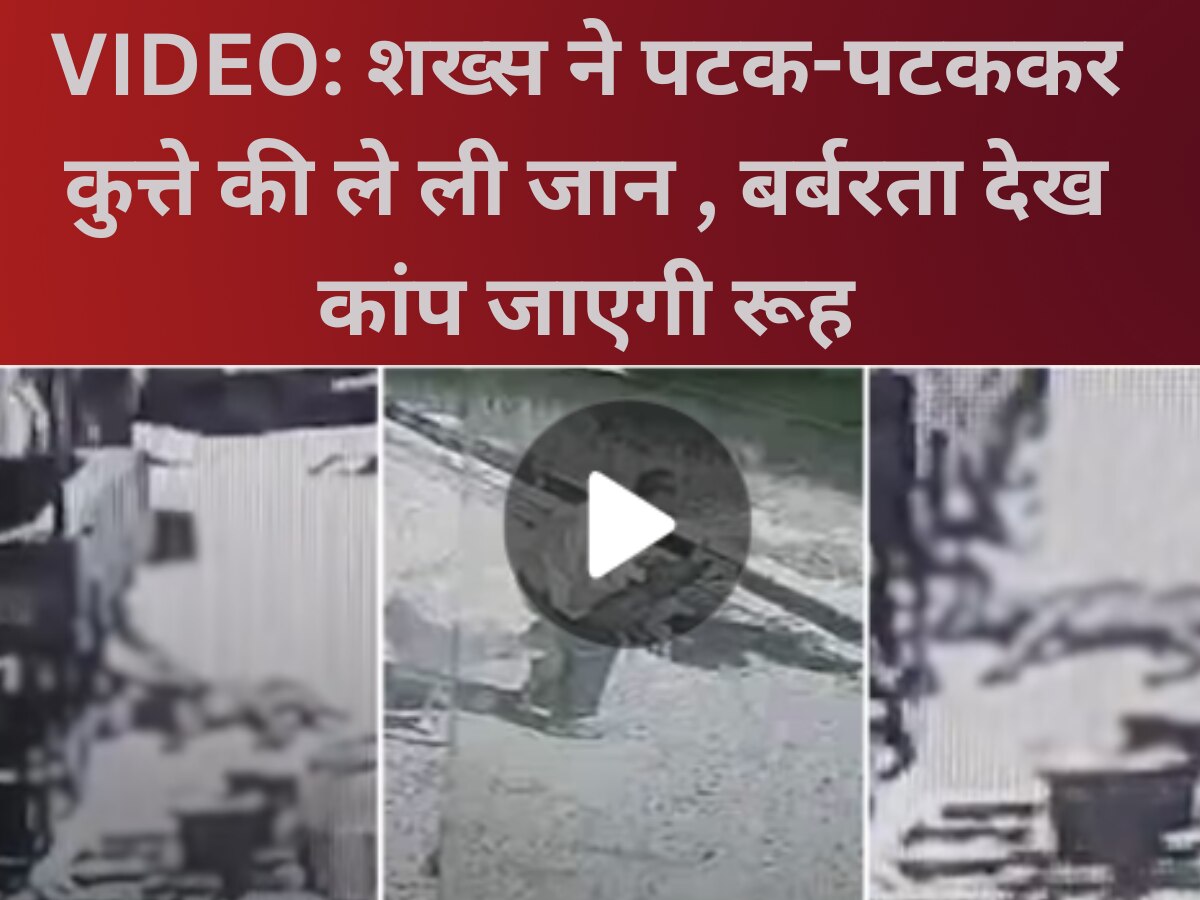 Viral Video: गले में रस्सी बांध कुत्ते को पटककर ईंट से कुचला, क्रूरता देख कांप जाएगी रूह