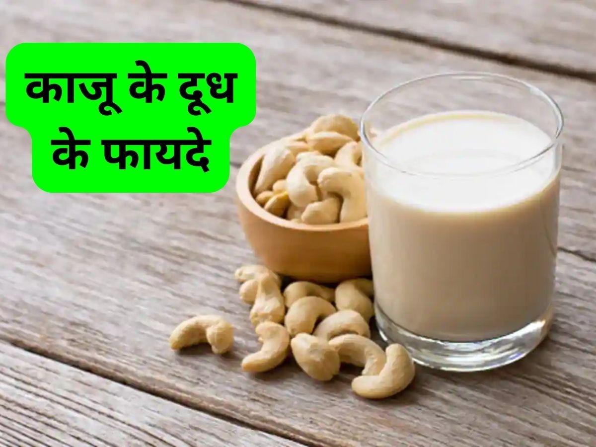 Cashew Milk: काजू के दूध में  मिलेंगे भरपूर Polyphenols और Carotenoids, घर में कर सकते हैं तैयार